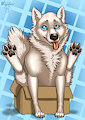 He Sit