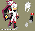 Infinity The Echidna by HeroKichona