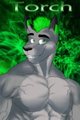 Torch by ChaliIan