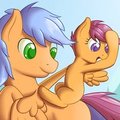 SlightlyShade Gift