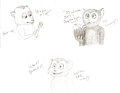 Lemur Cuties