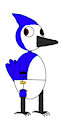 Lyon the blue jay