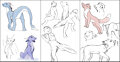 Pages by Tuke