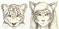 Old - Miscellaneous by Meowmere