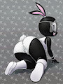 Bunny Stars by Yopy