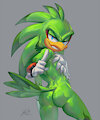 Sexy Hawk by Sonikken