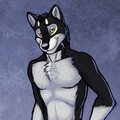 Dalken by tsaiwolf