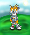 Tails VS Tape by ID182