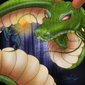 CM: Summoning Shenron