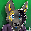 0459 - Kairo TheJackal by vulbyte