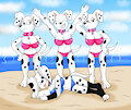 Beach Time Dalmation (by Rouyuki)