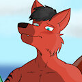 [COM] Can You Get My Back?