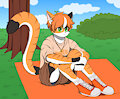 Cam the Orange cat