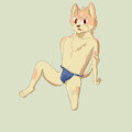 fundoshi by enshiromashiro