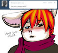 tumblr stuff
