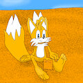 Tails Sittin'