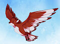 Wings of a Bird
