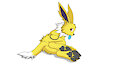 Wild Jolteon Appeared