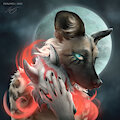 A Seeker with many Faces by Heronia