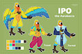 Ref Sheet- Ipo by Kiwyne