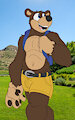Banjo