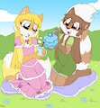*C*_Raccoon tea party