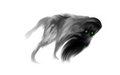 Ghost Stalker