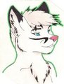 my badge by ChevronDaFox