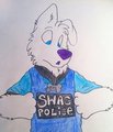 swag police