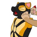 Trials of CadpigJR: The Dirty Pig