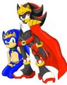 Sonic Kingdom - High King Shadow and Slave Sonic
