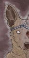A Face to Match My Dreams by baddoggie