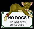 No Dogs