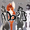 *A*_Pattern mixup 1/2