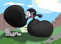 macro yin yang