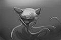The Cloaked Vixen by Varwulf