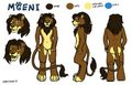 Mgeni reference sheet