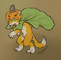Pumpkin Keet