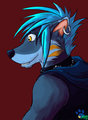 Color Practice by Aki