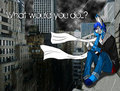 What Would You Do...?