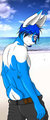 Beach Rabbit by Kinshuka
