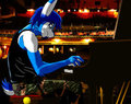 Lapine Rhapsody