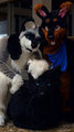 just chillen with some great friends by blackwolf69692004