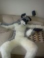 come here by blackwolf69692004