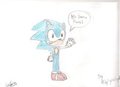 for sonic fans_byCeydaU