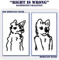 right is wrong