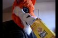 Foxy noms by Blitzkriegfox