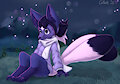 [C] Firefly night
