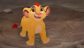 Baby kion