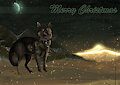 Merry Christmas to all my friends!